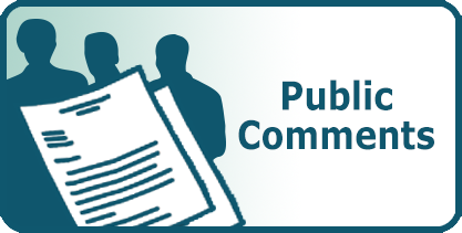 Public Comments 